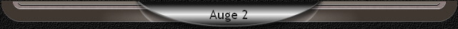 Auge 2