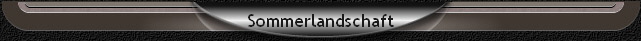 Sommerlandschaft