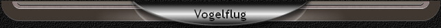 Vogelflug