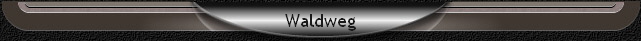Waldweg