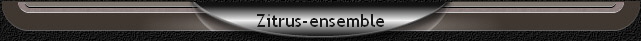 Zitrus-ensemble