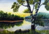 Sommerlandschaft