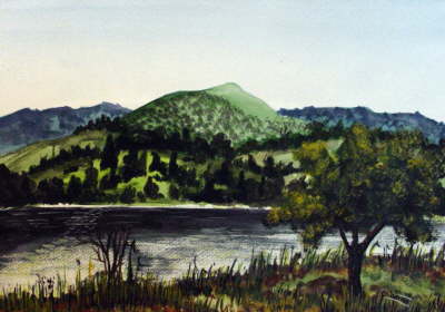 Waldbild