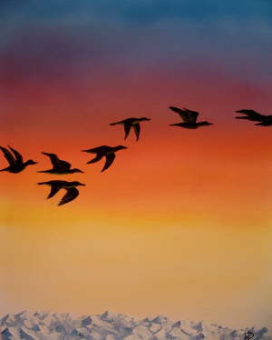 Vogelflug